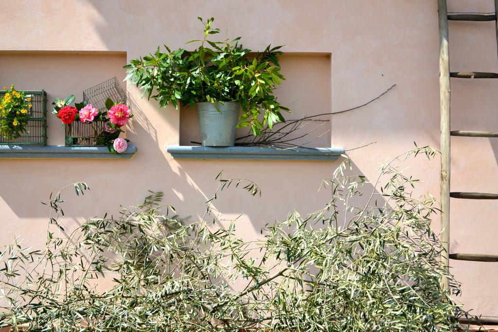 Monte A Pescia Villa Exterior photo