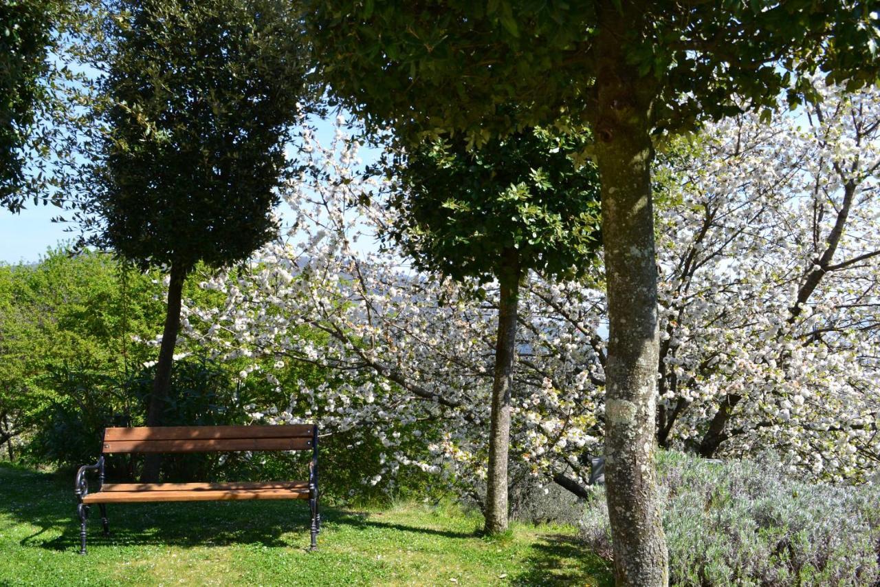 Monte A Pescia Villa Exterior photo